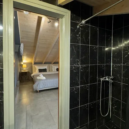 Aneli-attic In *
